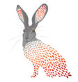 cartoon hare stylized wild hare colored vector image