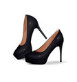 classic and elegant high-heeled women shoes vector image