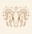 boho animal ram skull and daggers in tribal witchy vector image