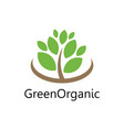 green tree organic logo vector image vector image