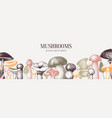 vintage mushrooms banner edible vector image vector image