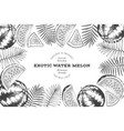 watermelon and tropical leaves design template vector image