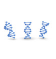 set of 3d realistic blue dna icons with shadow vector image