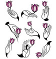 hands with lotus vector image