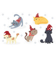 set cats vector image vector image