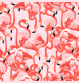 pink flamingo background floral pattern vector image