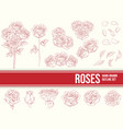 hand drawn flower roses outline ornament sketch le vector image vector image