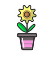 indoor plant flower in clay pot house decoration vector image vector image