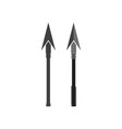 spear icon design vector image vector image