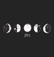 5 stages of the moon vector image