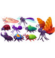 cartoon insects characters mole dragonfly bedbug vector image