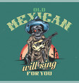 t-shirt or poster design vector image