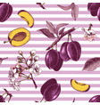 seamless pattern with hand drawn plum flowers vector image