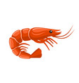 shrimp icon on white background vector image vector image
