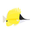 forcipiger flavissimus - yellow butterflyfish vector image vector image