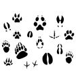 animal footprints vector image