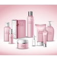 cosmetic packages set vector image vector image