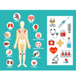 anatomy flat icon set vector image vector image