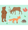 forest animals vector image