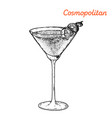 cosmopolitan cocktail alcoholic vector image vector image