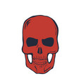 red skull on white background vector image