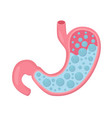 stomach acid reflux vector image vector image