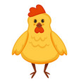 cartoon chicken or yellow chick vector image vector image