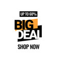 big deal discount with price is 60 vector image