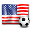 flag of america with a soccer ball vector image