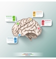 modern infographic options banner vector image