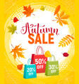 autumn sale poster vector image vector image