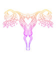 decorative drawing female reproductive system vector image