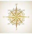 windrose vector image
