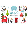set isolated cute penguins in winter part 2 vector image vector image