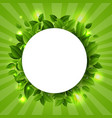 spring sale banner with green branches nature vector image vector image