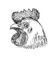 leghorn chicken or hen head side view drawing vector image vector image