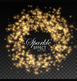gold glittering star dust vector image vector image