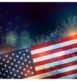 united states flag vector image