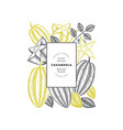 hand drawn sketch style carambola banner organic vector image