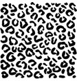 animal background leopard or cheetah jaguar vector image