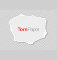 white ripped paper strip torn for message vector image