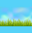 fresh grass border with blue sky background golf vector image