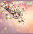 spring apple blossom vector image vector image