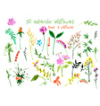 set of watercolor floral elements vector image