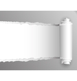 torn paper with opening showing white background vector image vector image