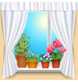 flowers window vs vector image vector image