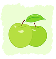 two green apples vector image vector image