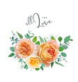 peach orange yellow garden rose flowers bouquet vector image