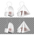 tea bag isolated on white and dark vector image vector image