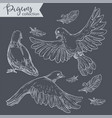 flying pigeons set doves with plumage vector image